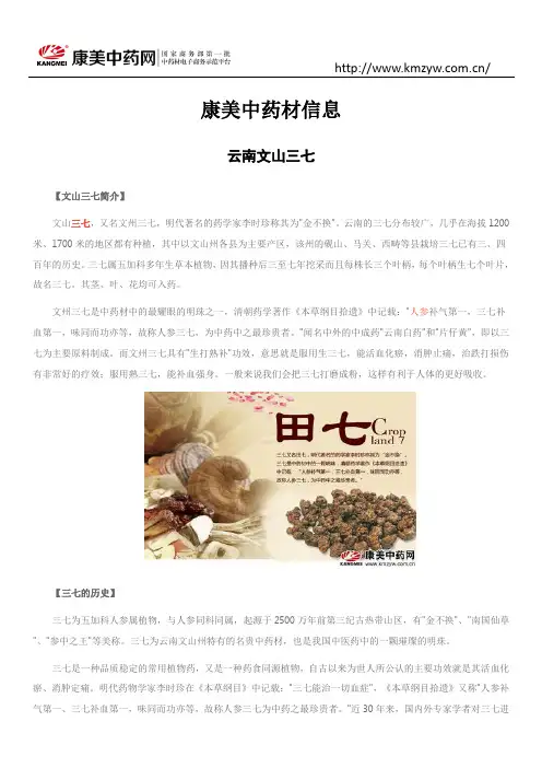 康美中药材信息 云南文山三七