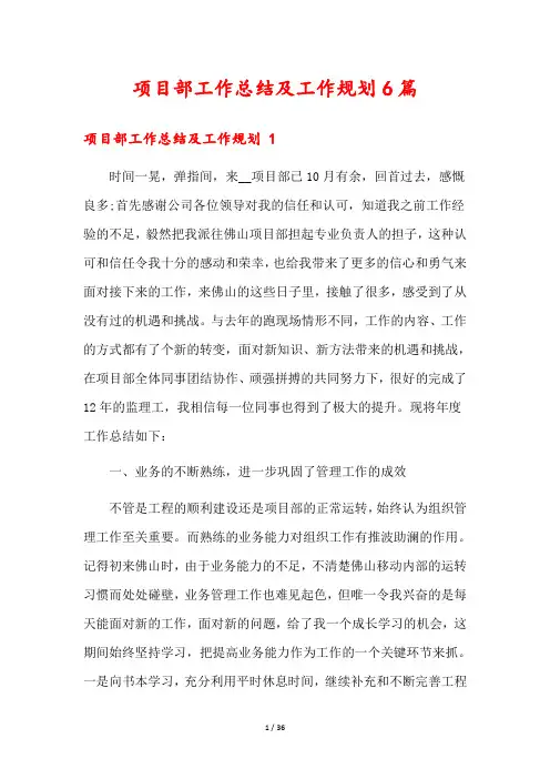 项目部工作总结及工作规划6篇