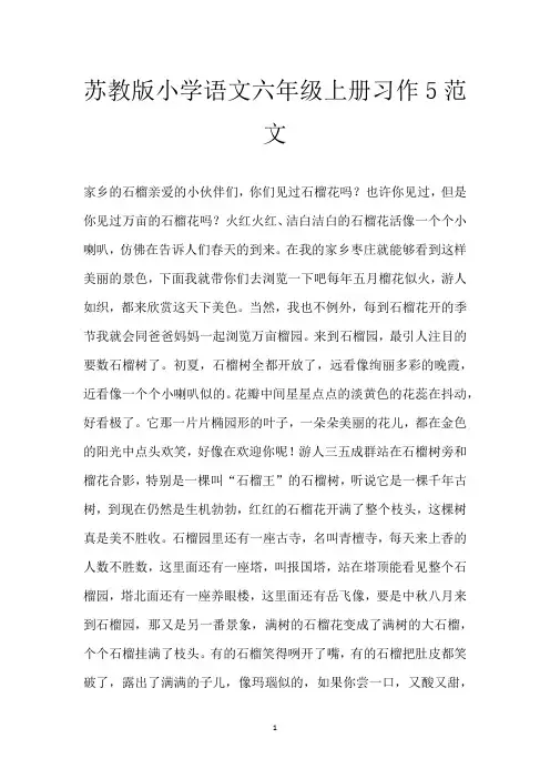 苏教版小学语文六年级上册习作5范文