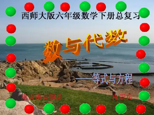西师大版六年级数学下册  总复习(4)---等式与方程