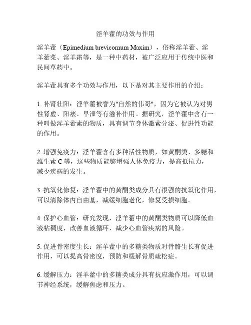 淫羊藿的功效与作用