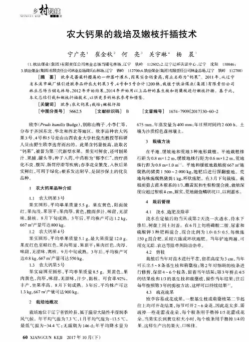 农大钙果的栽培及嫩枝扦插技术