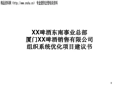 XX公司组织系统优化项目建议书