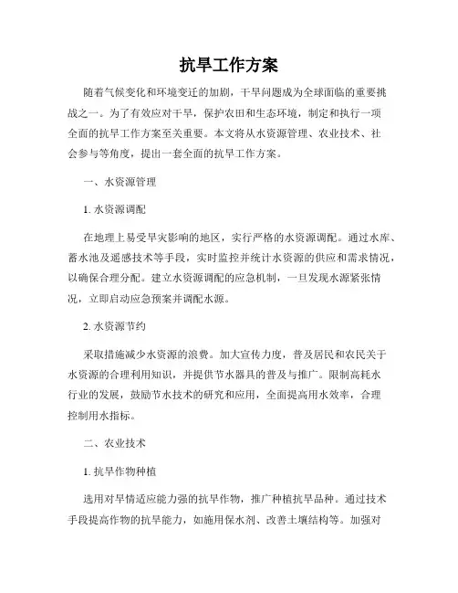 抗旱工作方案