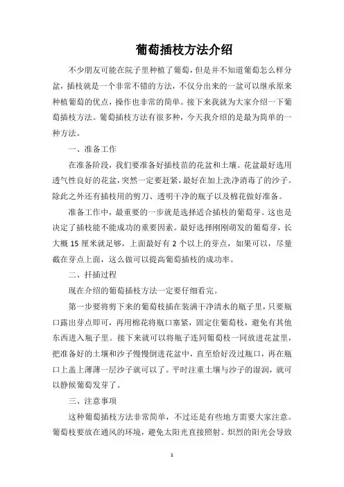 葡萄插枝方法介绍