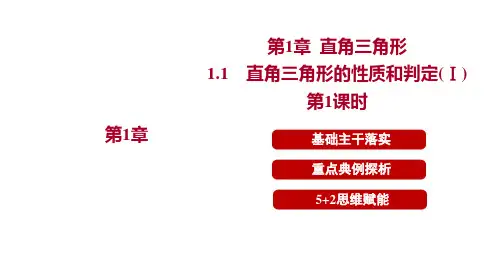  1.1 直角三角形的性质和判定(Ⅰ)   课件   2024-2025学年湘教版八年级数学下册