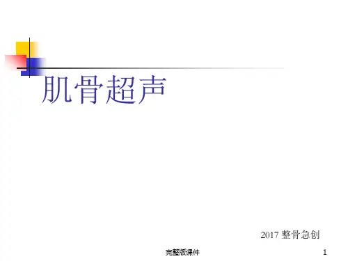 肌骨超声ppt课件