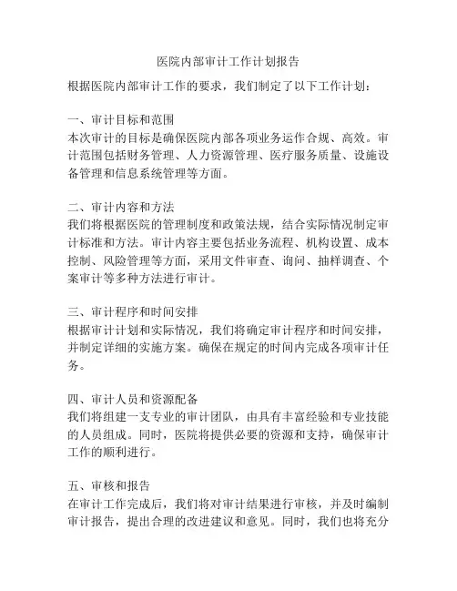 医院内部审计工作计划报告