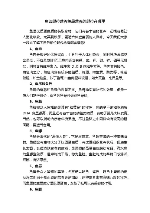 鱼各部位营养鱼最营养的部位在哪里