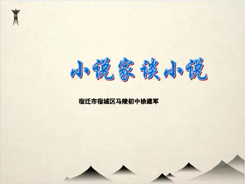 苏教语文九级上册《小说家谈小说》优秀实用优秀PPT页