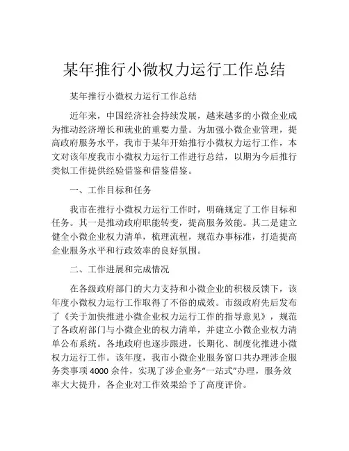 某年推行小微权力运行工作总结