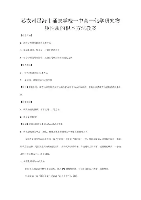 高一化学《研究物质性质的基本方法》教案