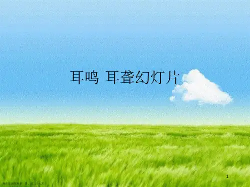 耳鸣 耳聋幻灯片