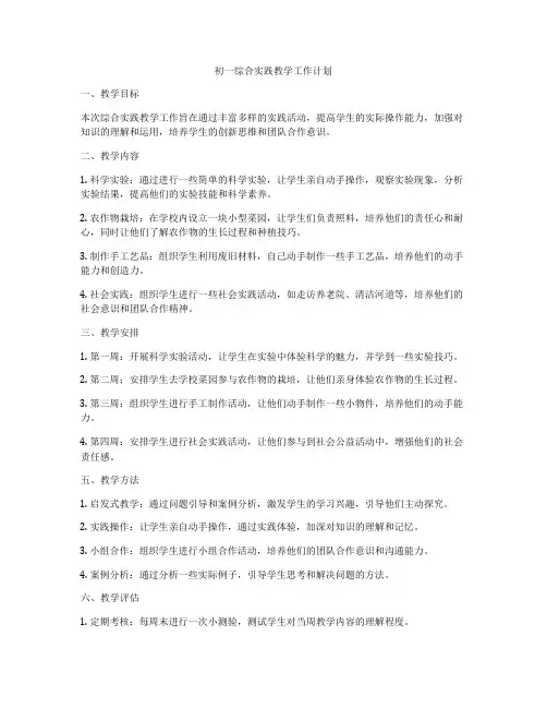 初一综合实践教学工作计划