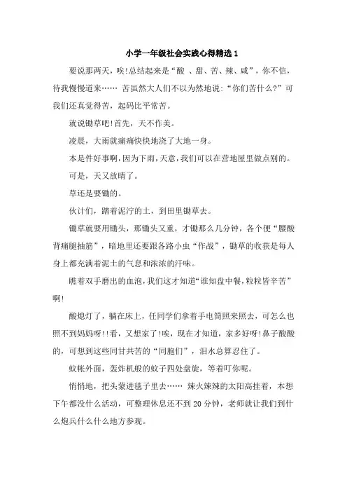 小学一年级社会实践心得精选6篇