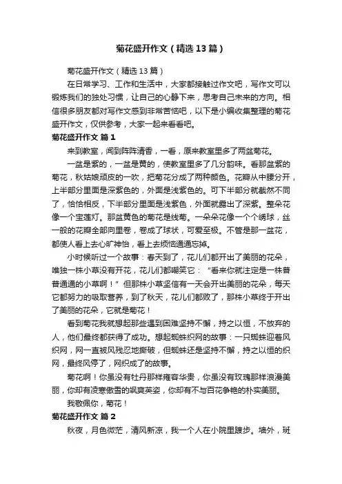 菊花盛开作文（精选13篇）