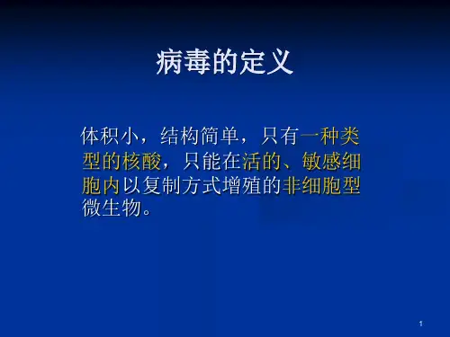 病毒学2病毒结构组成