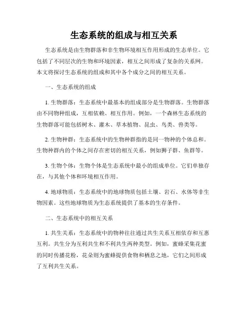 生态系统的组成与相互关系