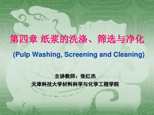 纸浆洗涤与净化