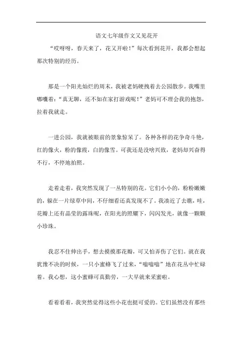 语文七年级作文又见花开