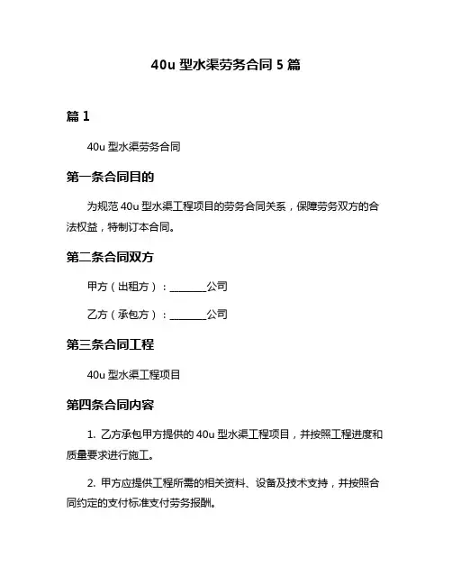 40u型水渠劳务合同5篇