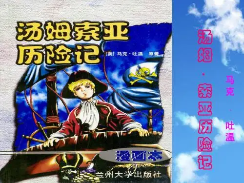 17   《汤姆索亚历险记》课件
