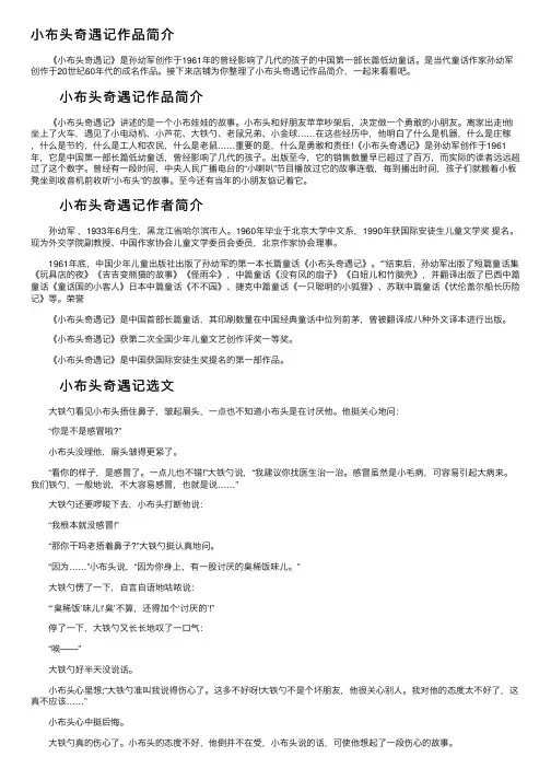 小布头奇遇记作品简介