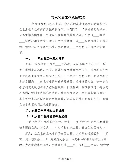 市水利局工作总结范文(2篇)