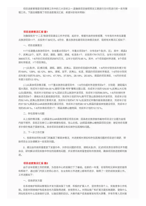 项目进度情况汇报（精选8篇）