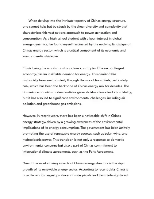 分析中国能源结构英语作文