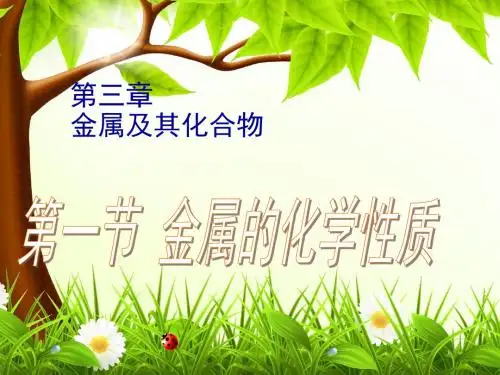 人教版高一化学必修一3.1金属的化学性质课件共25张PPT