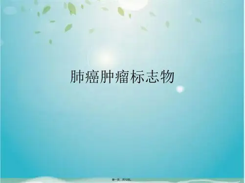 肺癌肿瘤标志物(共12张PPT)