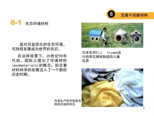 造型材料之新材料ppt课件