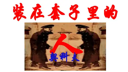 《装在套子里的人》超级精品ppt课件
