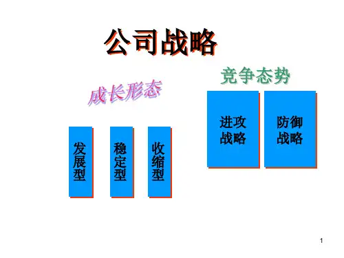 公司总体战略ppt课件