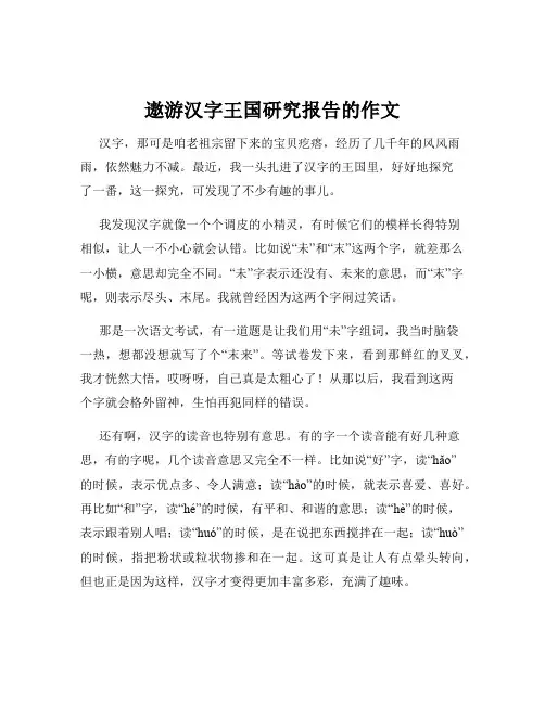遨游汉字王国研究报告的作文