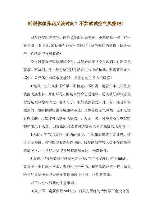 听说你想养花又没时间？不如试试空气凤梨吧!