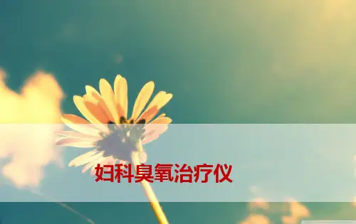 妇科臭氧治疗仪 ppt课件