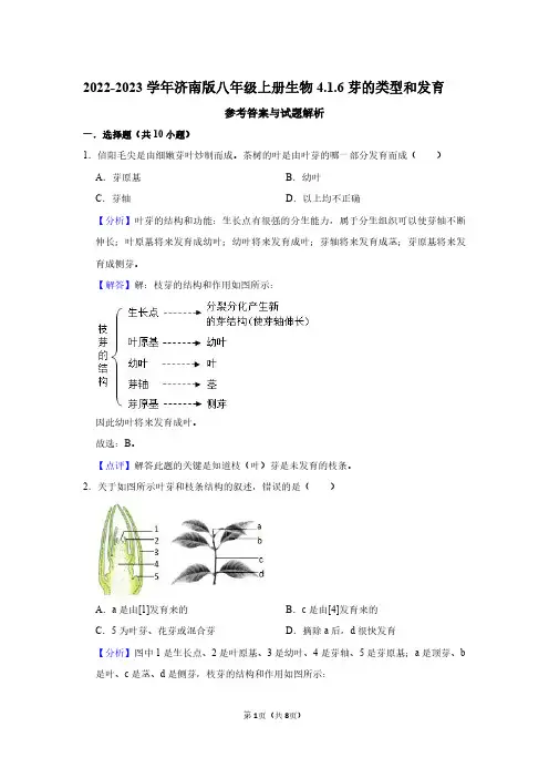 2022-2023学年济南版八年级上册生物同步练习4.1.6芽的类型和发育(解析版)