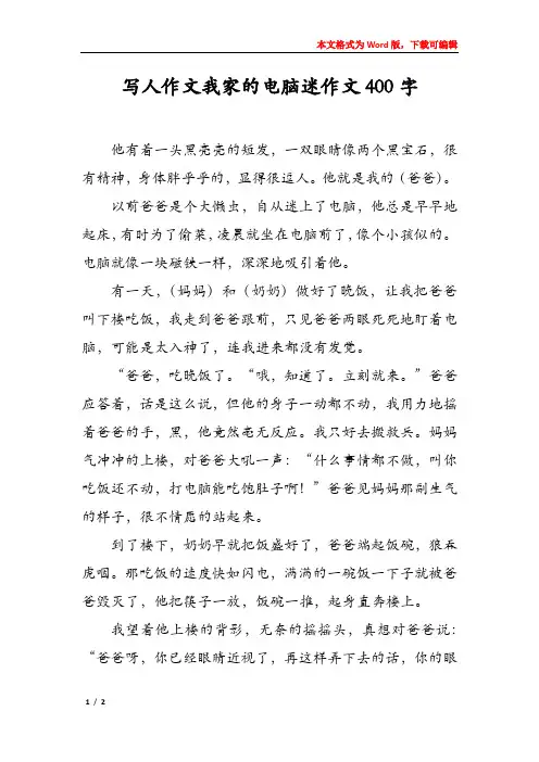 写人作文我家的电脑迷作文400字