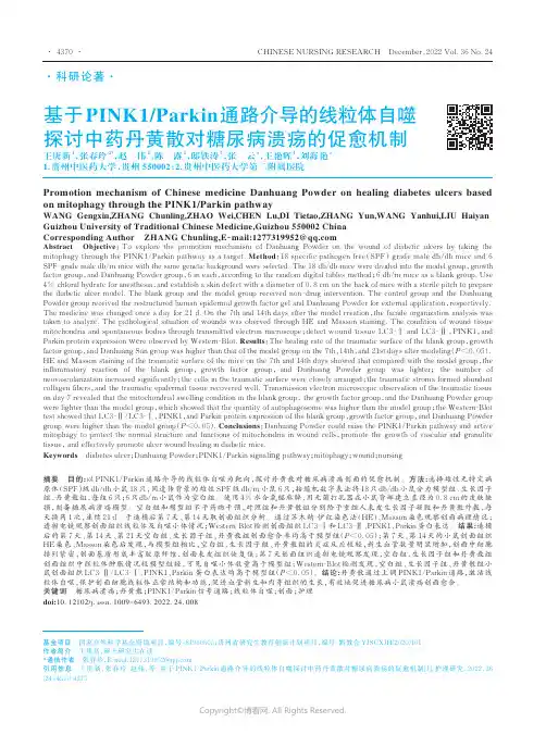 基于PINK1Parkin通路介导的线粒体自噬探