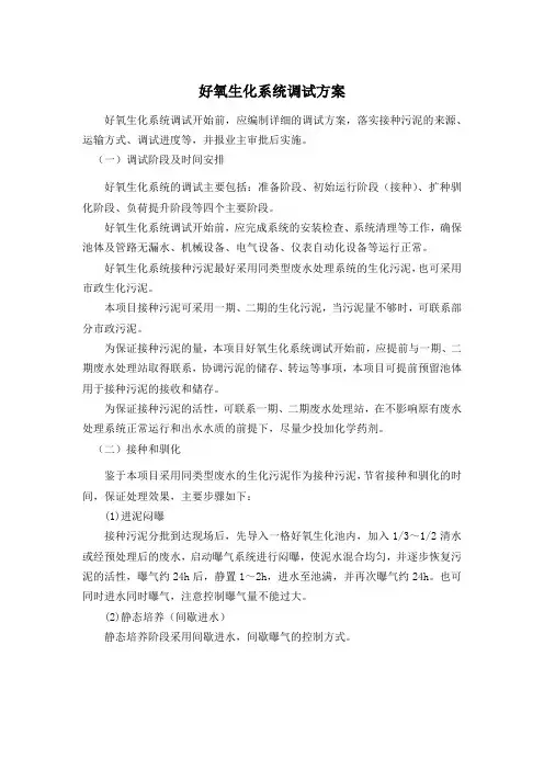 好氧生化系统调试方案