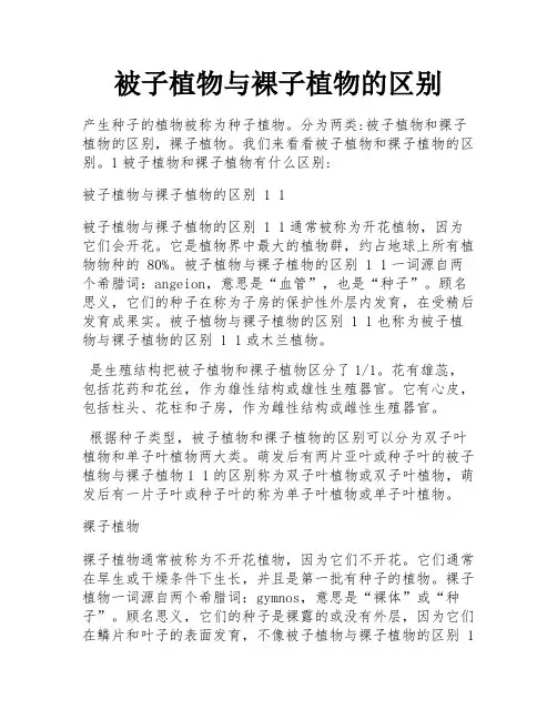被子植物与裸子植物的区别