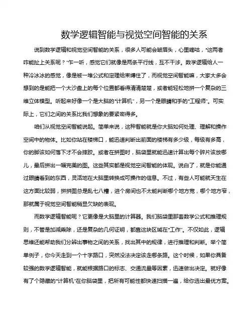 数学逻辑智能与视觉空间智能的关系