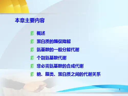 第七蛋白质的酶促降解和氨基酸代谢PPT课件