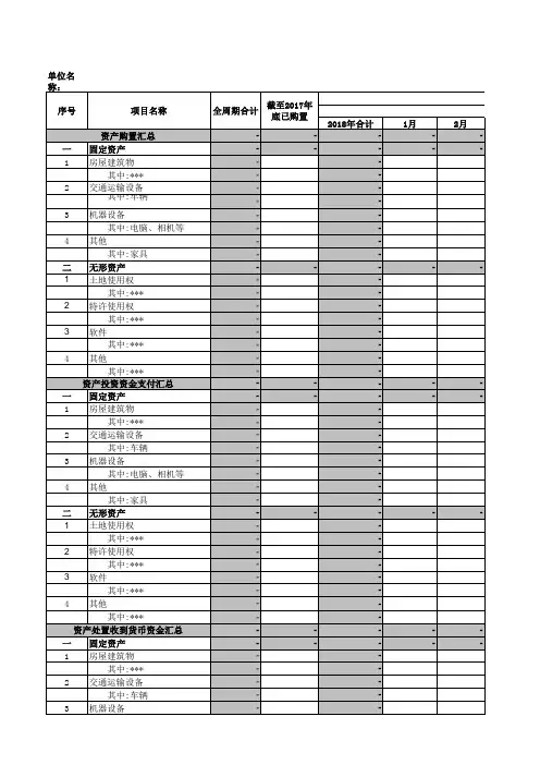 央企某公司固定资产无形资产年度预算表--模板