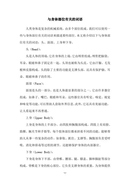 与身体部位有关的词语