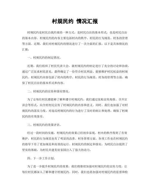 村规民约 情况汇报
