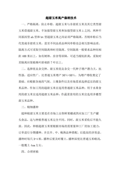 超甜玉米高产栽培技术