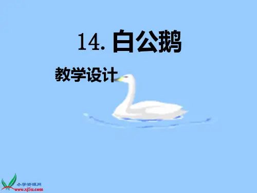 白公鹅(完整)PPT课件